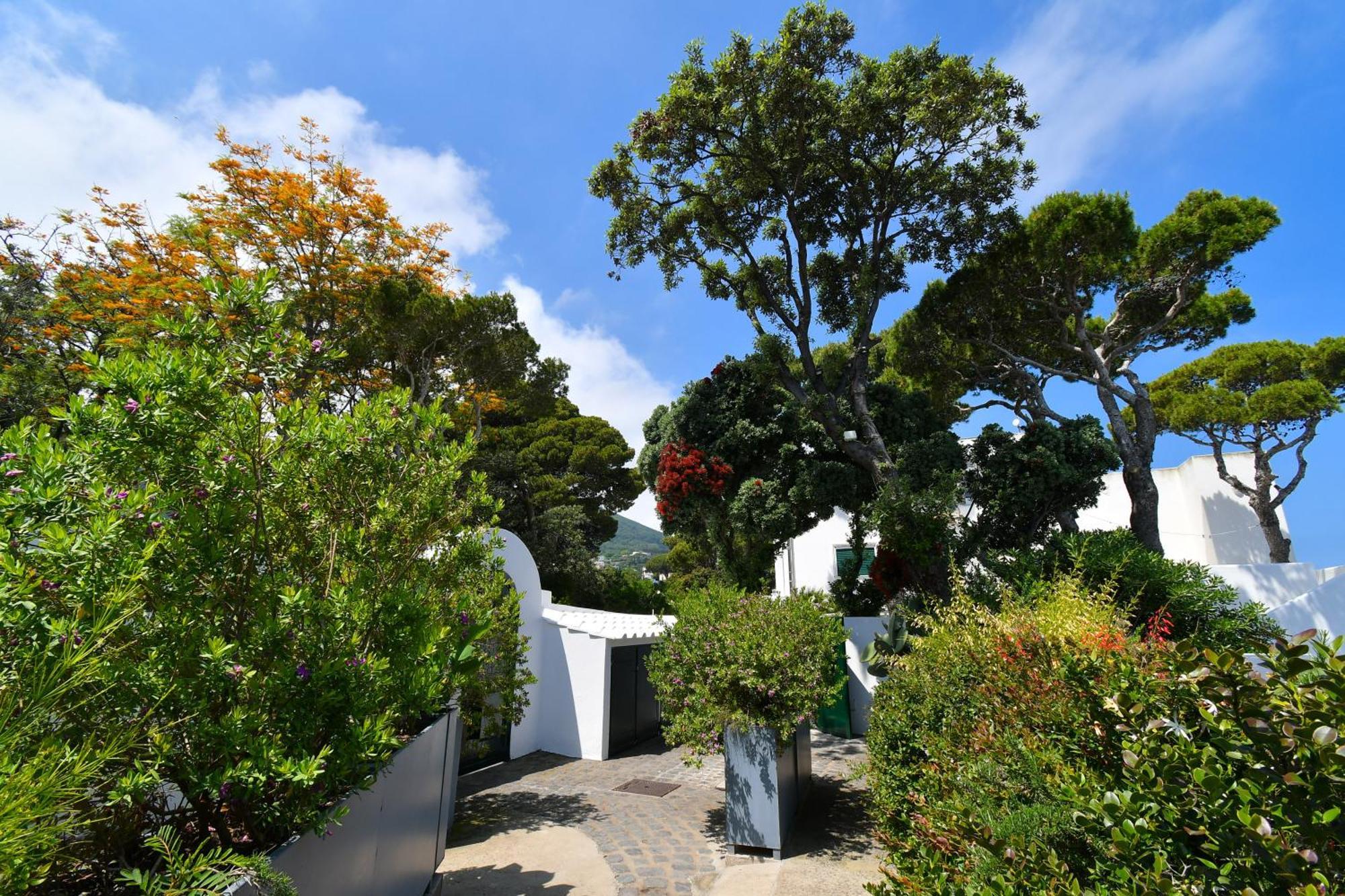 B&B Villa Lentisco Ischia Exteriér fotografie